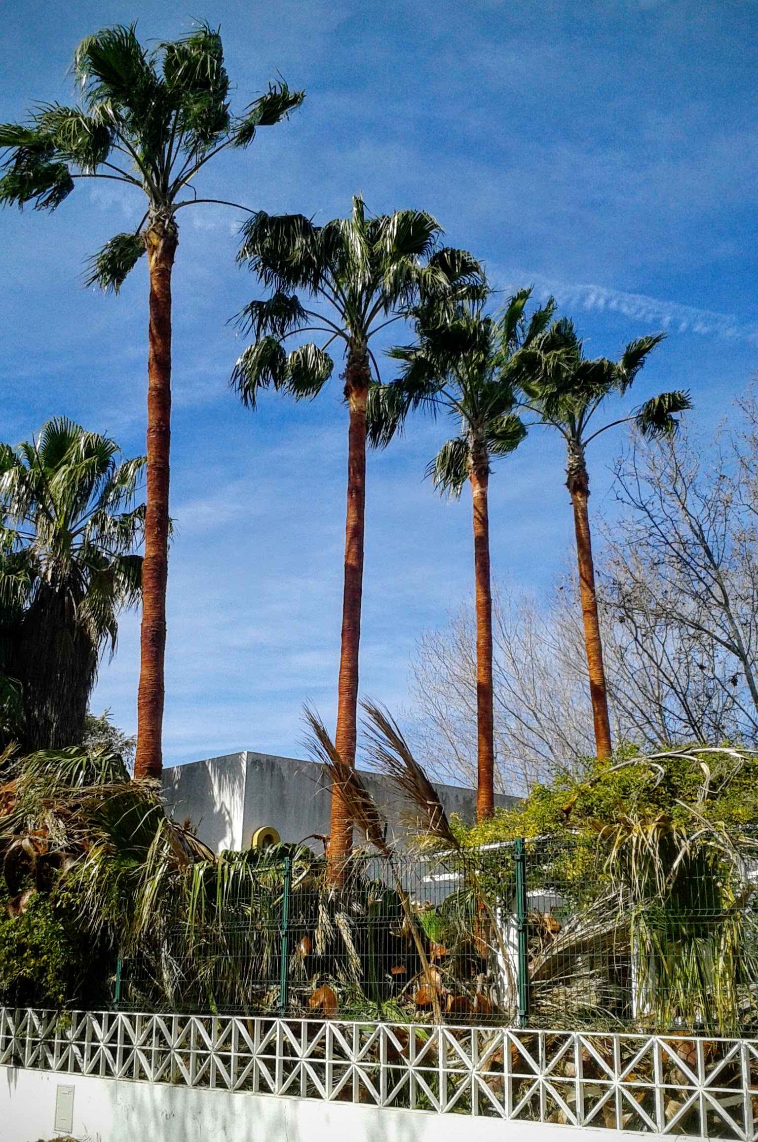 Pest control project 4